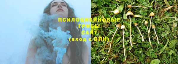 таблы Верея